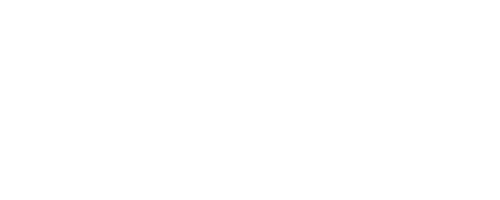 Dimesion Data Dimesion Data