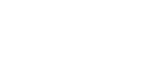 LYT-1 LYT-1